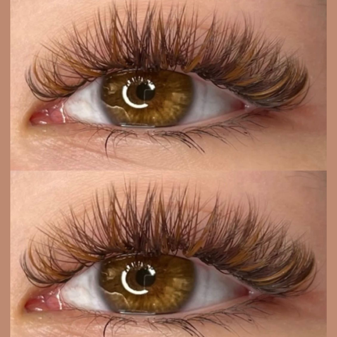 Brown Lashes