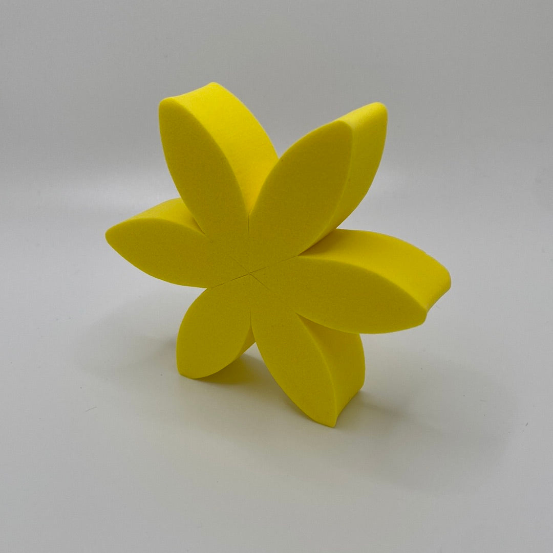 Flower sponges~6 petals